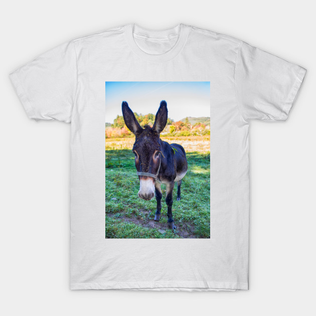 Donkey Donkey TShirt TeePublic
